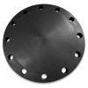 12 In Blind Flange Class 300 RF A105 FCS