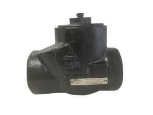 VLV CK SWG 3 IN THD 2160 CS BD CF8M SS C