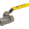 76-103-01A 1/2 In Ball Valve 2000 PSI THD A351 SS