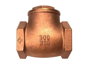 2 In Swing Check Valve 300 PSI THD CB