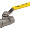 3/4 In Floating Ball Valve 2000 PSI RP THD CF8M SS