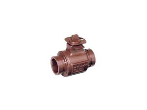 4 In Ball Valve 500 PSI FP GRV DI