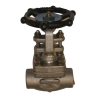 VLV GT 3/4 IN 800 SW X THD 316/L BD TRM