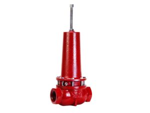 2 In Low Pressure Control Valve 300 psig THD DI