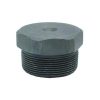 2-1/2 In Hex Plug THD A105 FCS