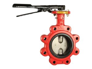 4 In Butterfly Valve 200 PSI Lug DI 316 SS Disc