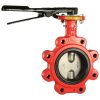 6 In Butterfly Valve 200 PSI Lug DI 316 SS Disc