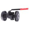 4 In Floating Ball Valve Class 300 FP RF LCC CS