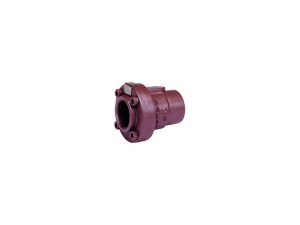 2 In Swing Check Valve 2000 PSI RP THD A395 DI