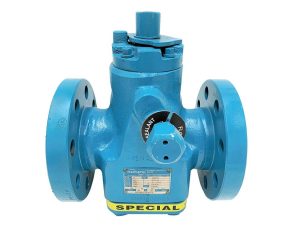 2 In Plug Valve Class 300 RF A352 LCC