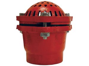 DFVS-40 4 In NPT Foot Valve THD CI