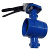 VLV BTFL 4 IN 150 LUGGED DI BD 316 SS DS