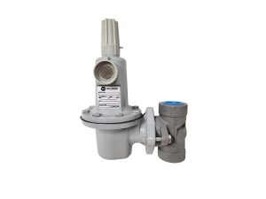 REG MIGHTY GUN 1 IN 10-95 1/4 IN ORF MDL