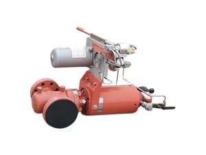 2-1/16 In Gate Valve 5000 PSI RTJ
