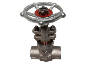 VLV GT 3/4 IN 800 SW X THD 316L SS A182