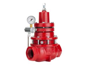 AAWV Model 430 SGT 4 In Back Pressure Valve