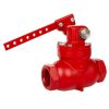 2 In Mechanical Dump Valve Class 300 THD DI