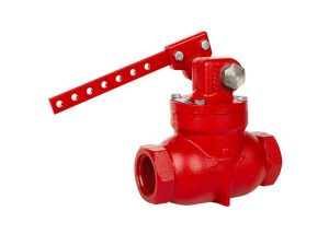2 In Mechanical Dump Valve Class 300 THD DI