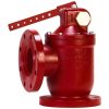 3 In Mechanical Dump Valve Class 150 RF DI