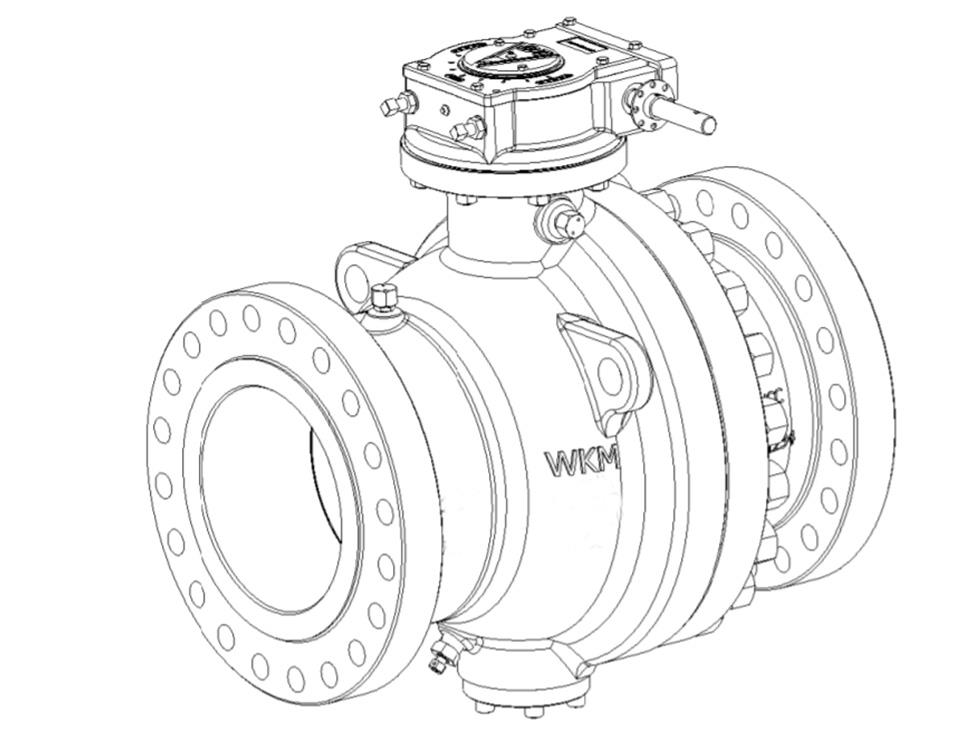 2-1/16 In Trunnion Ball Valve Class 5000 FP RTJ CS 1 2-1/16 In Trunnion Ball Valve Class 5000 FP RTJ CS