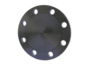 4 In Class 150 RF Carbon Steel Blind Flange