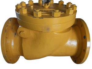 3 In Swing Check Valve Class 1500 RF CS