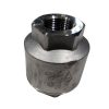 1 In Threaded Inline Check Valve 3600 PSI THD