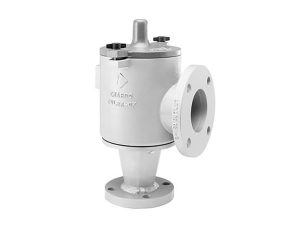 6 In Pressure Relief Valve Class 150 RF AL