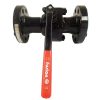 2 In Ball Valve Class 150 FP RF WCB CS