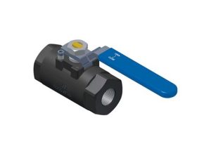 1/2 In Ball Valve 6000 PSI FP THD 316 SS