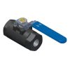 3/4 In Ball Valve 6000 PSI FP THD WCB CS