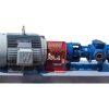 L/3X1.5X13L/SSTM/CS Transfer Pump Package