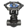 1/2 In Gate Valve Class 800 RP THD A105 CS