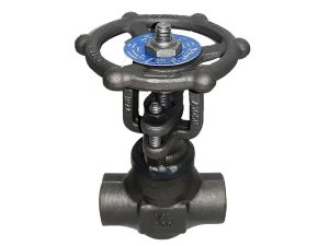 1/2 In Gate Valve Class 800 RP THD A105 CS