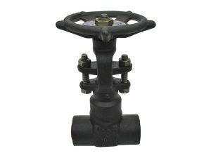 3/4 In Gate Valve Class 800 RP THD x SW A105 CS