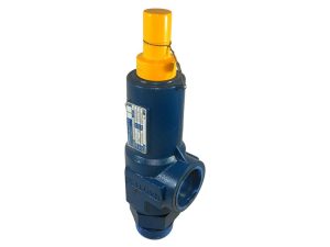 1 In x 1 In Relief Valve 500 PSI THD CS